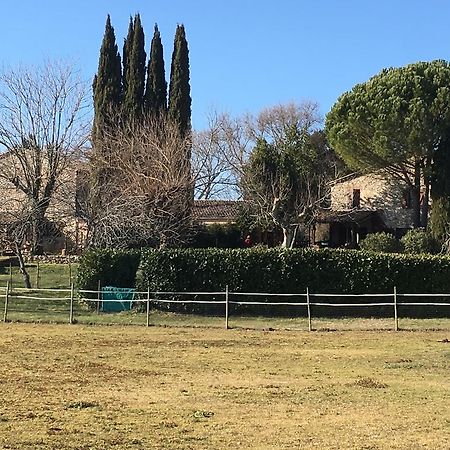 Podere Conte Racani Amelia Exterior foto