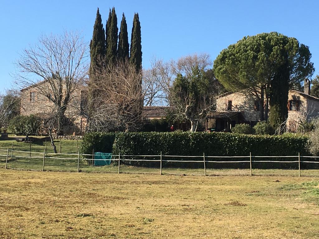 Podere Conte Racani Amelia Exterior foto
