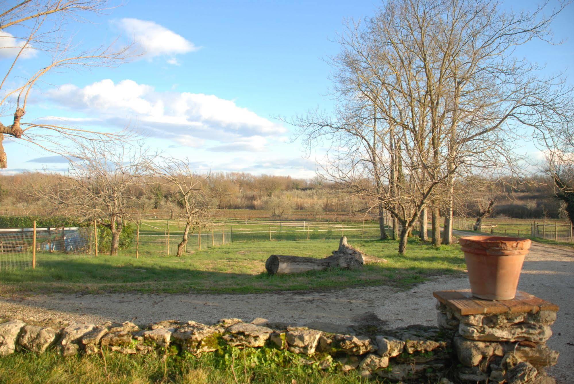 Podere Conte Racani Amelia Exterior foto